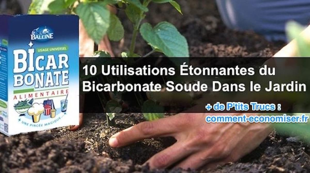 10 Utilisations Étonnantes Du Bicarbonate De Soude Dans Le ... encequiconcerne Bicarbonate De Soude Jardin