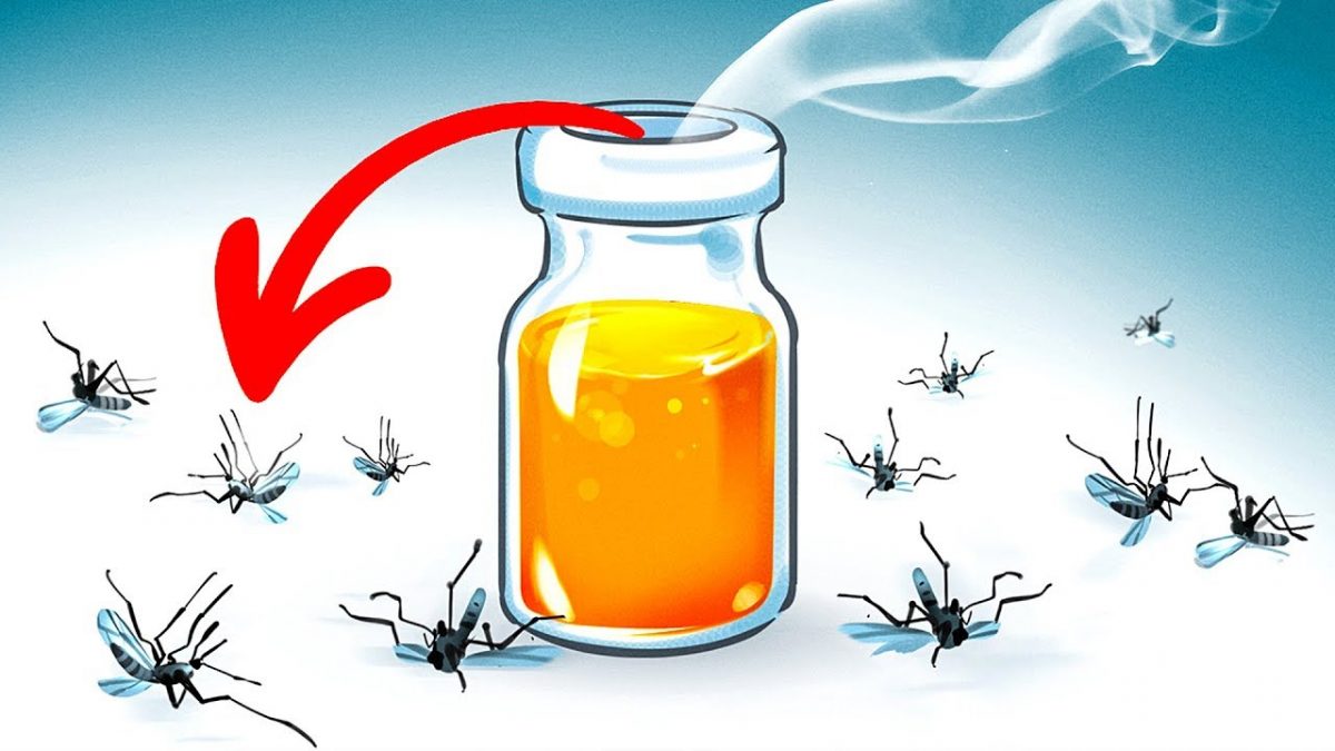 15 Façons Naturelles De Se Débarrasser Des Moustiques Dans Son Jardin destiné Comment Se Débarrasser Des Moustiques Dans Le Jardin