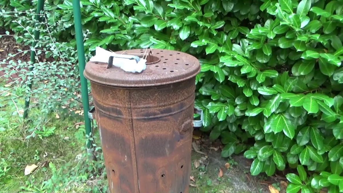 2 Piqures Pour Avoir Voulu Bruler Des Feuilles à Bruler Feuilles Jardin