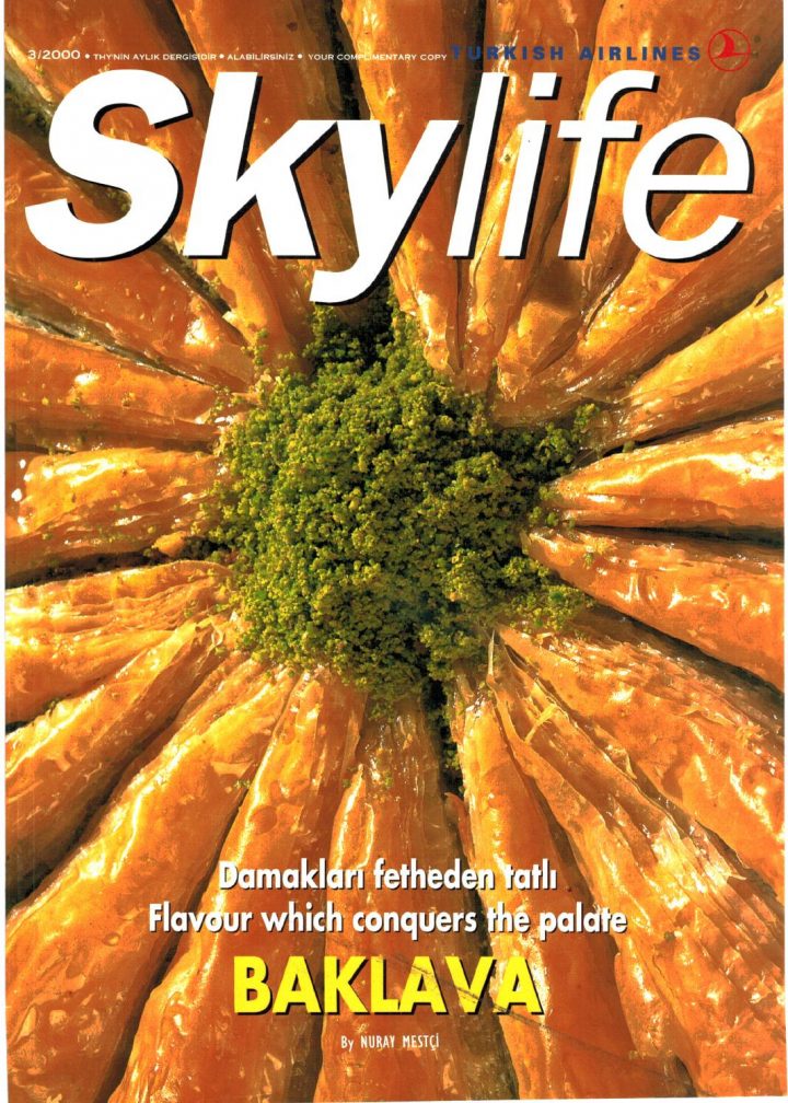 2000 03 By Skylife Magazine – Issuu tout Bache Pour Salon De Jardin