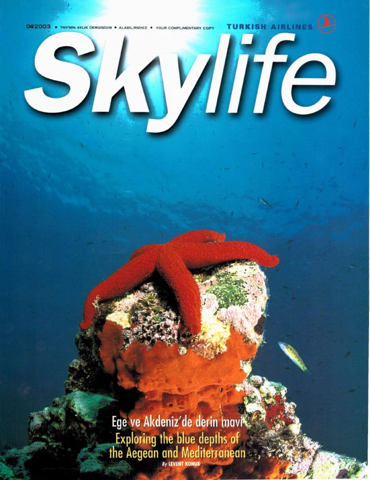 2003 04 By Skylife Magazine – Issuu avec Animaux Fer Forgé Jardin