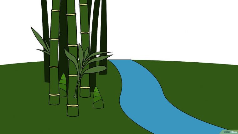 3 Manières De Éliminer Les Bambous – Wikihow avec Comment Eliminer Les Bambous Dans Un Jardin