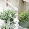 30 Idées Déco Style Scandinave Pour L'extérieur à Objets Decoration Jardin Exterieur
