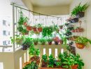 4 Conseils Pour Cultiver Des Plantes Sur Un Balcon – Du ... concernant Faire Un Jardin Sur Son Balcon