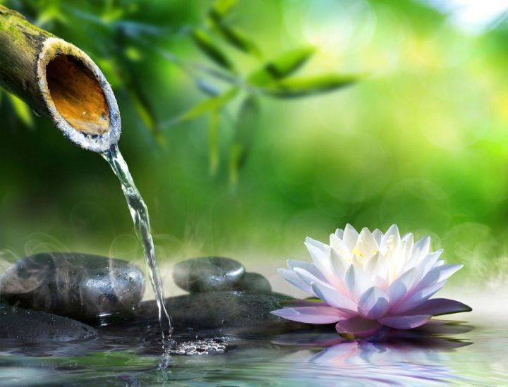 5 Idées Pour Faire Un Jardin Zen | Paysage Zen, Peinture Zen … encequiconcerne Faire Un Jardin Zen