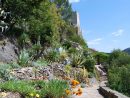 6 Plantes À Choisir Pour Un Beau Jardin Méditerranéen ... destiné Exemple De Jardin Méditerranéen