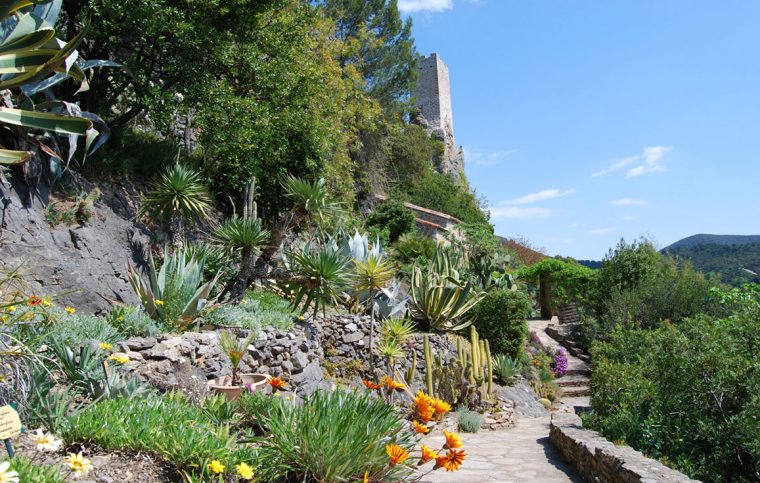 6 Plantes À Choisir Pour Un Beau Jardin Méditerranéen … destiné Exemple De Jardin Méditerranéen