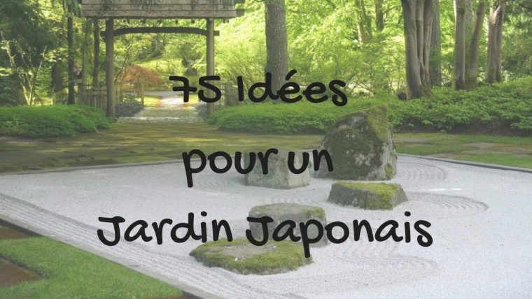 75 Idées Pour Un Jardin Japonais avec Plante Pour Jardin Japonais