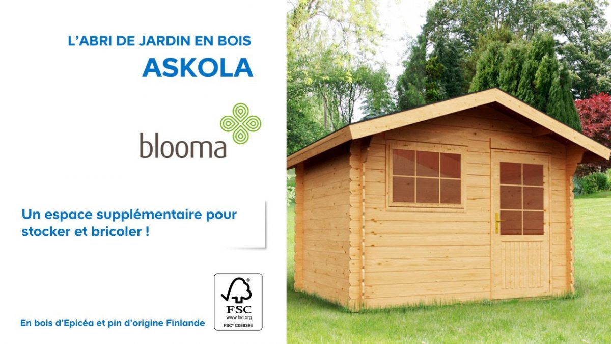 Abri De Jardin En Bois Askola Blooma (610707) Castorama avec Blooma Abris De Jardin