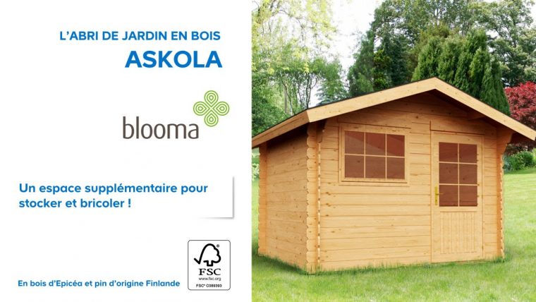 Abri De Jardin En Bois Askola Blooma (610707) Castorama avec Blooma Abris De Jardin