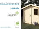 Abri De Jardin En Bois Namur Blooma (630680) Castorama dedans Cabanon De Jardin Castorama