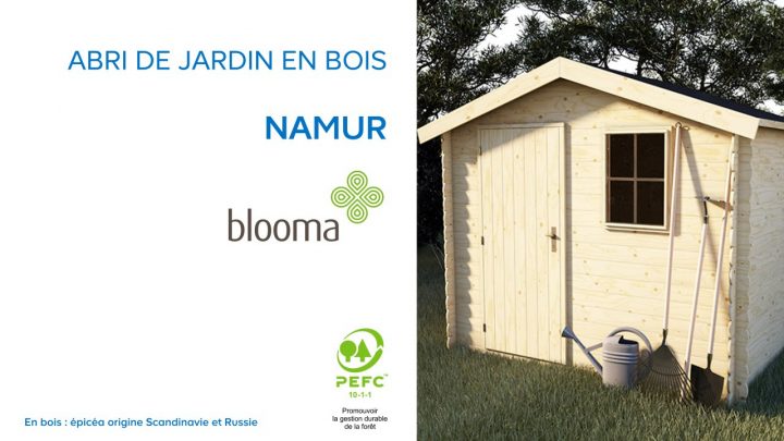 Abri De Jardin En Bois Namur Blooma (630680) Castorama destiné Abri De Jardin En Bois 5M2