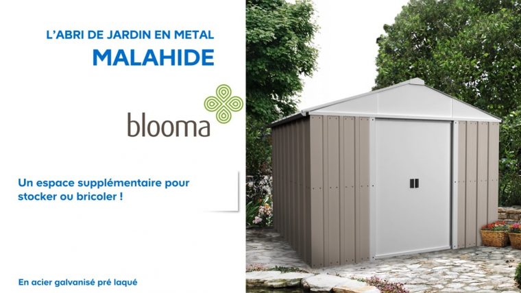 Abri De Jardin En Mtal Malahide Blooma Castorama Intéressant … dedans Abri De Jardin Metal Castorama