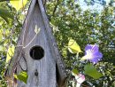 Abri Église | Maison Oiseaux, Jardin Rustique, Oiseaux Des ... à Abri Oiseau Jardin