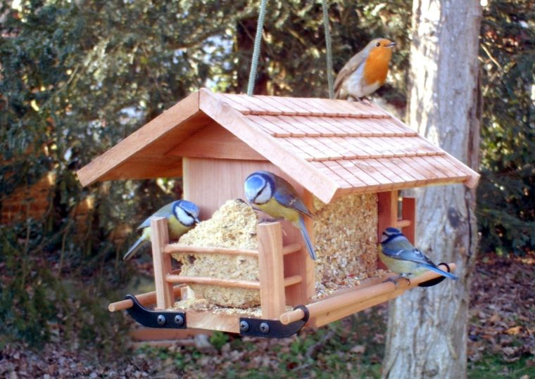 Abri Oiseau Jardin | Bird Houses, Outdoor Decor, Bird Feeders avec Abri Oiseau Jardin