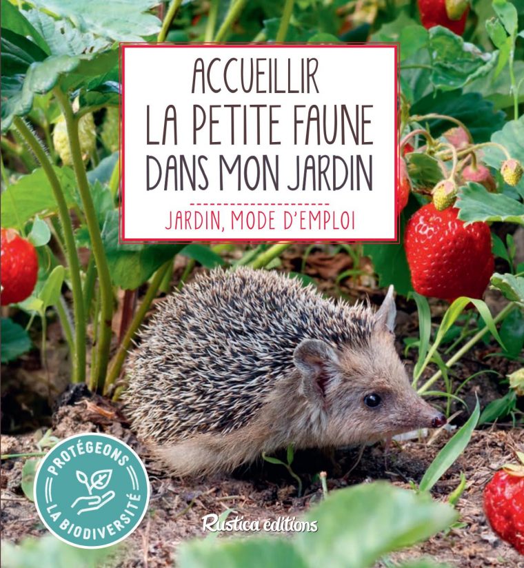 Accueillir La Petite Faune Du Jardin By Fleurus Editions – Issuu serapportantà Nourriture Hérisson Jardin