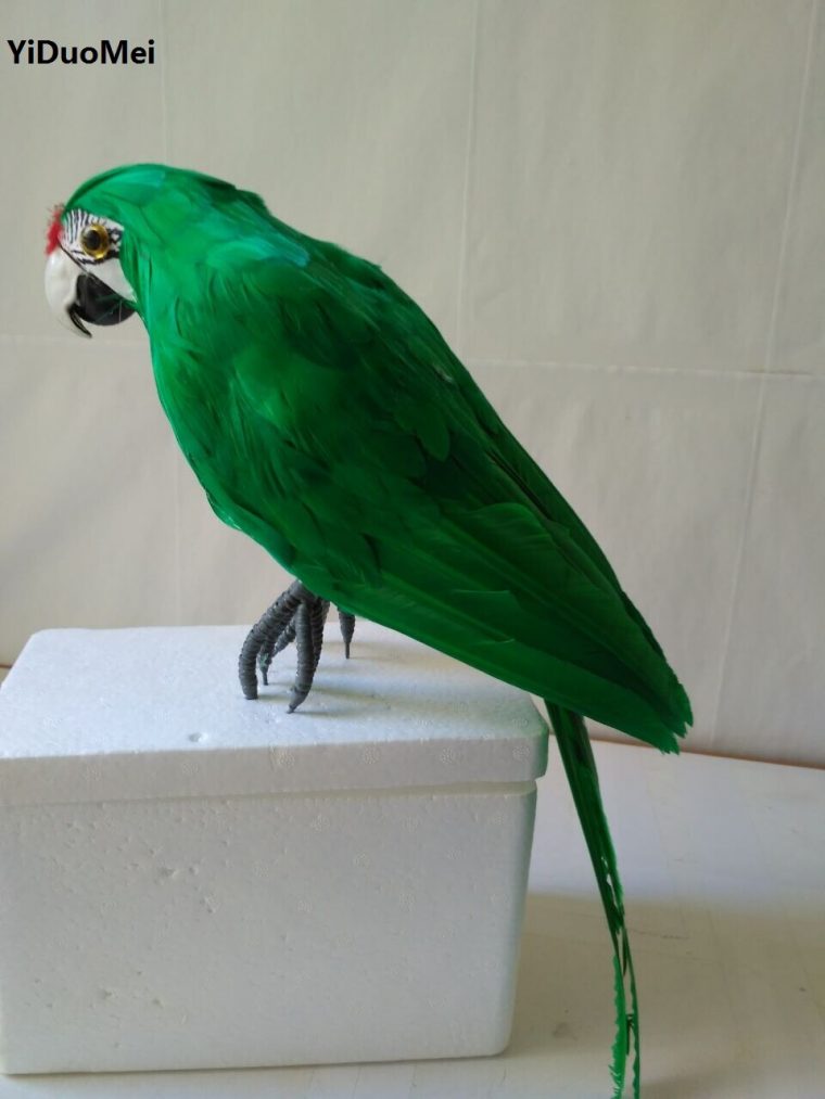 Acheter Oiseaux Artificiels Modèle, dedans Perroquet Jardine