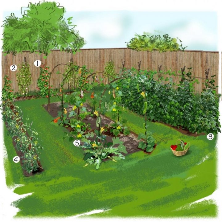 Ahurissant-Beautiful-Idee-Deco-Jardin-Potager-Photos … concernant Exemple D Aménagement De Jardin