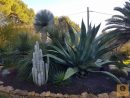 Aménagement D'un Jardin Sec Rocaille - Vente De Cactus Et ... dedans Creer Un Jardin Sec