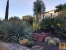 Aménagement D'un Jardin Sec Rocaille - Vente De Cactus Et ... intérieur Creer Un Jardin Sec