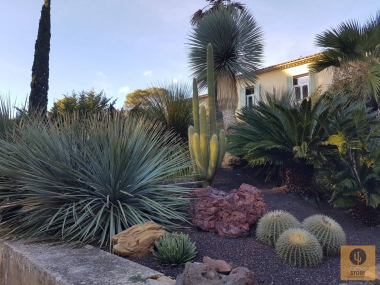 Aménagement D'un Jardin Sec Rocaille – Vente De Cactus Et … intérieur Creer Un Jardin Sec