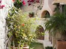 Aménagement Jardin Extérieur Méditerranéen : Quelles Plantes ... concernant Amenagement Jardin Exterieur Mediterraneen