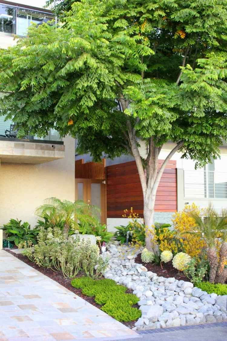 Aménagement Petit Jardin Devant La Maison – Quels Arbres … destiné Quel Arbre Fruitier Pour Petit Jardin