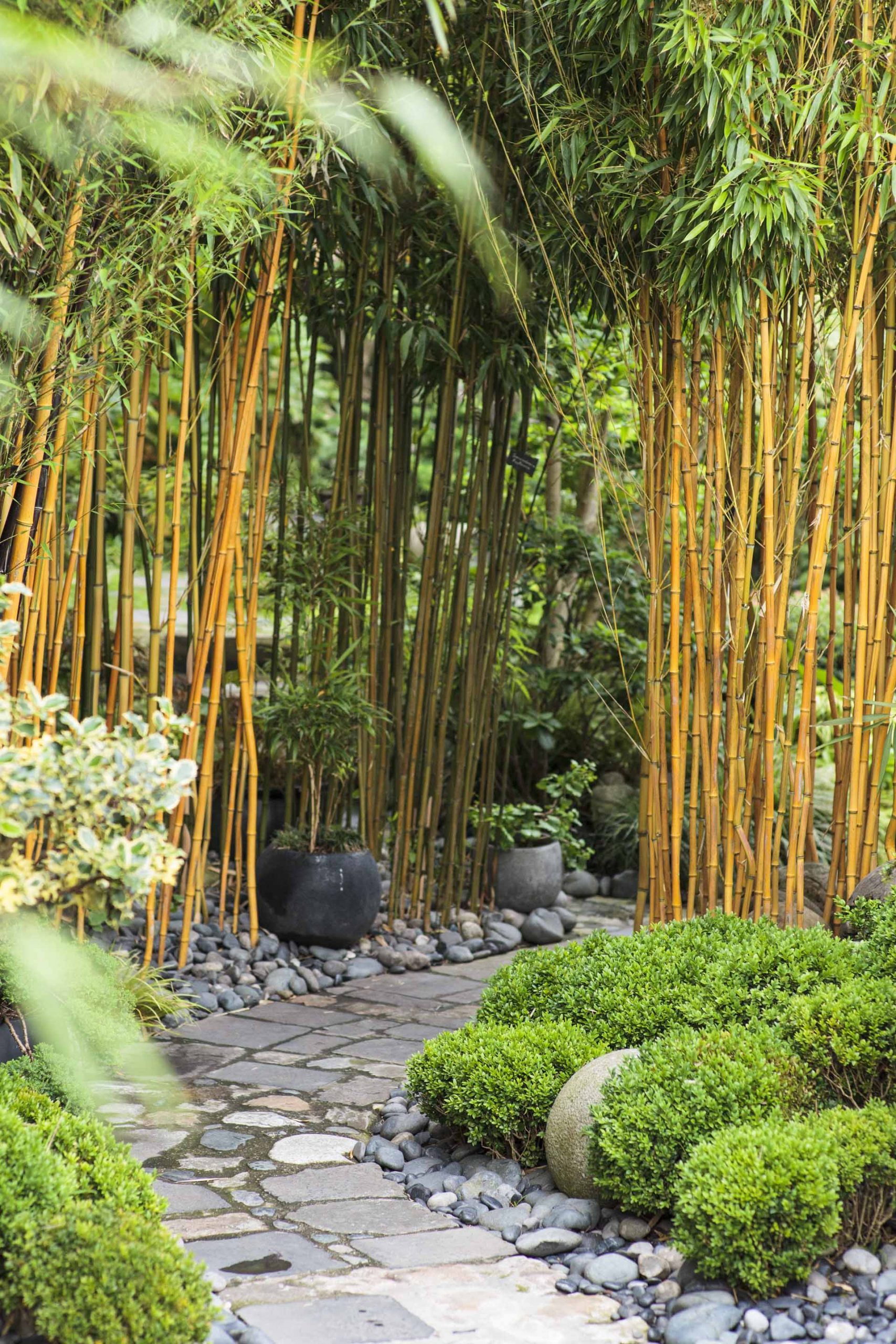 Aménager Un Jardin Japonais Chez Soi destiné Déco Jardin Bambou