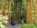 Aménager Un Jardin Japonais Chez Soi intérieur Accessoires Pour Jardin Japonais