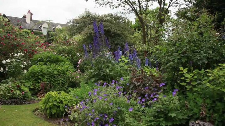 Aménager Un Petit Jardin Pour Donner Une Impression D'espace avec Exemple D Aménagement De Jardin