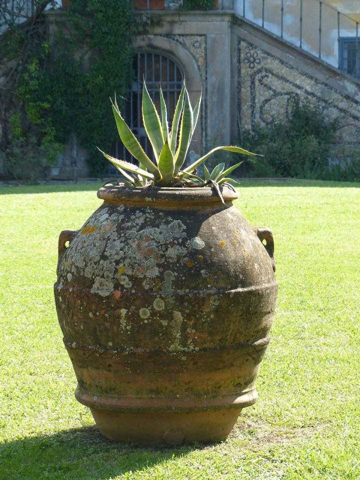 Amphore Italie Vase – Photo Gratuite Sur Pixabay à Amphore De Jardin