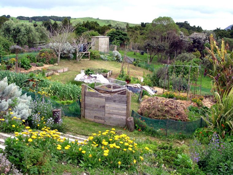 An Interview With The Ultimate Revolutionary – Bill Mollison … encequiconcerne Forage Jardin