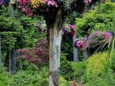 Arbre Mort, Bois Flotté Et Souche D'arbre Pour Décorer Le Jardin serapportantà Fontaine Naturelle Jardin