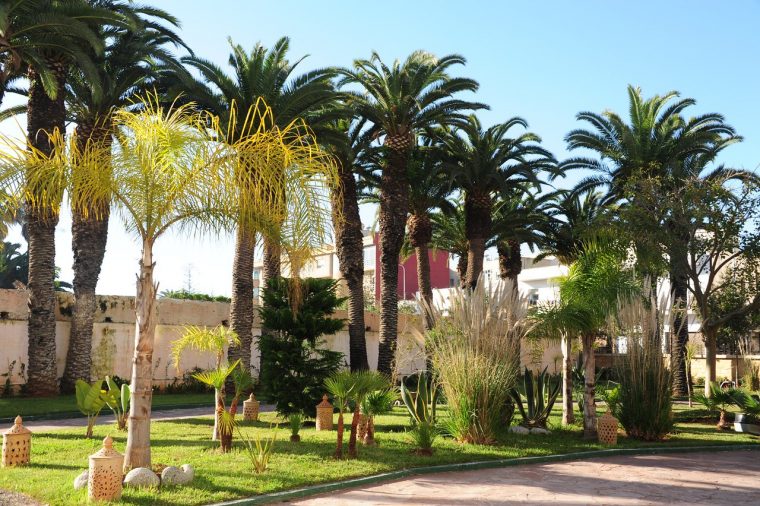 Art Suites El Jadida – Prices & Hotel Reviews (Morocco … avec Les Jardins D El Jadida