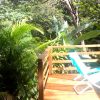 Au Jardin Des Colibris Deshaies Guadeloupe ... Gite De Charme Au Coeur De  La Nature encequiconcerne Au Jardin Des Colibris