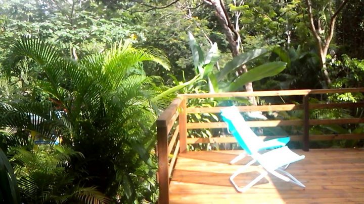 Au Jardin Des Colibris Deshaies Guadeloupe … Gite De Charme Au Coeur De  La Nature encequiconcerne Au Jardin Des Colibris