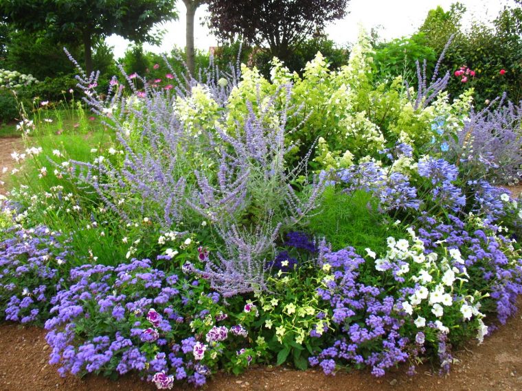 Avoir Un Jardin Fleuri Toute L'année (Sans Connaissance) pour Jardins Fleuris Paysagiste