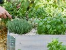 Bac À Potager Et Jardinière Sur Pieds : Botanic®, Carré ... tout Acheter Un Jardin Potager