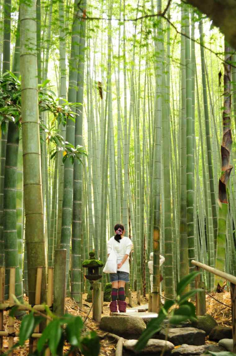  Bambou  D co  40 Id es Pour Un D cor Jardin Avec  Du Bambou  