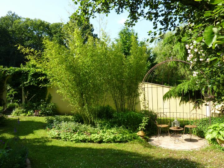 Bambou – Le Jardin Par Passion… serapportantà Déco Jardin Bambou