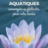Bassin : 10 Plantes Aquatiques, Immergées Ou Flottantes ... pour Plante Bassin De Jardin