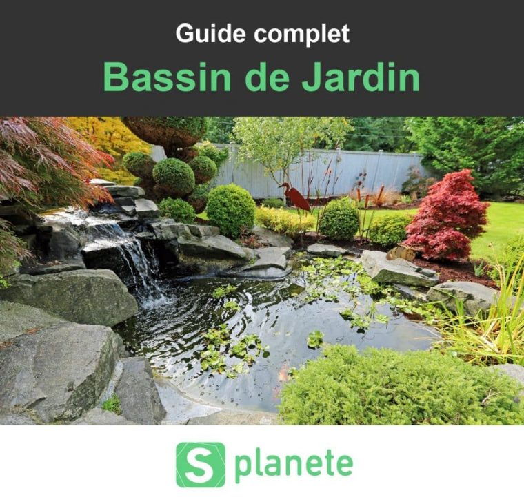 Bassin De Jardin : Construire, Aménager Et Entretenir … concernant Bassin De Jardin Préformé Grande Taille