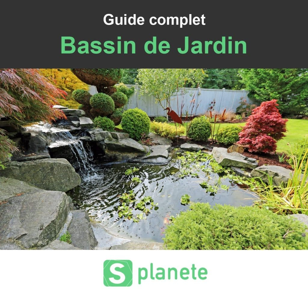 Bassin De Jardin : Construire, Aménager Et Entretenir ... serapportantà Bac A Poisson Jardin