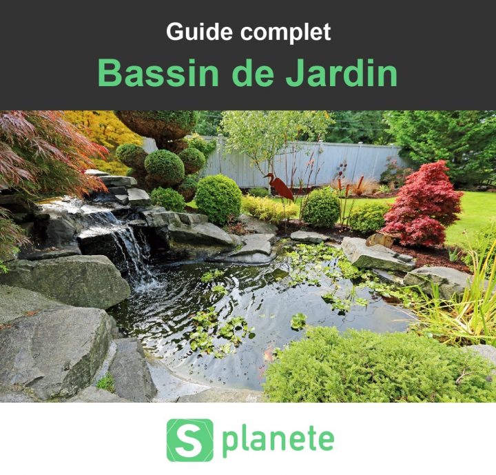 Bassin De Jardin : Construire, Aménager Et Entretenir … tout Construire Un Bassin De Jardin