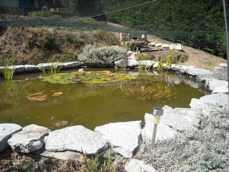 Bassin De Jardin Créer Un Courant D'eau À Moindre Frais concernant Créer Un Bassin De Jardin
