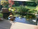 Bassin De Jardin | La Transparence | Belgique, Bruxelles ... concernant Amenagement Jardin Belgique