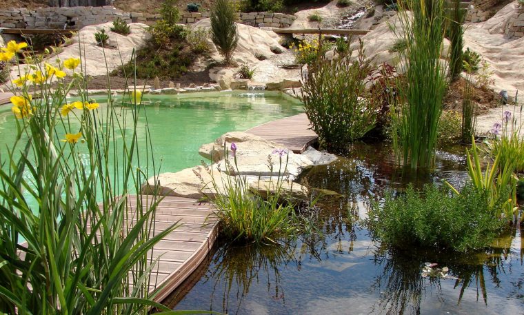 Bassin Jardin Aquatique Extérieur – Piscine Naturelle Et … encequiconcerne Conception Bassin De Jardin