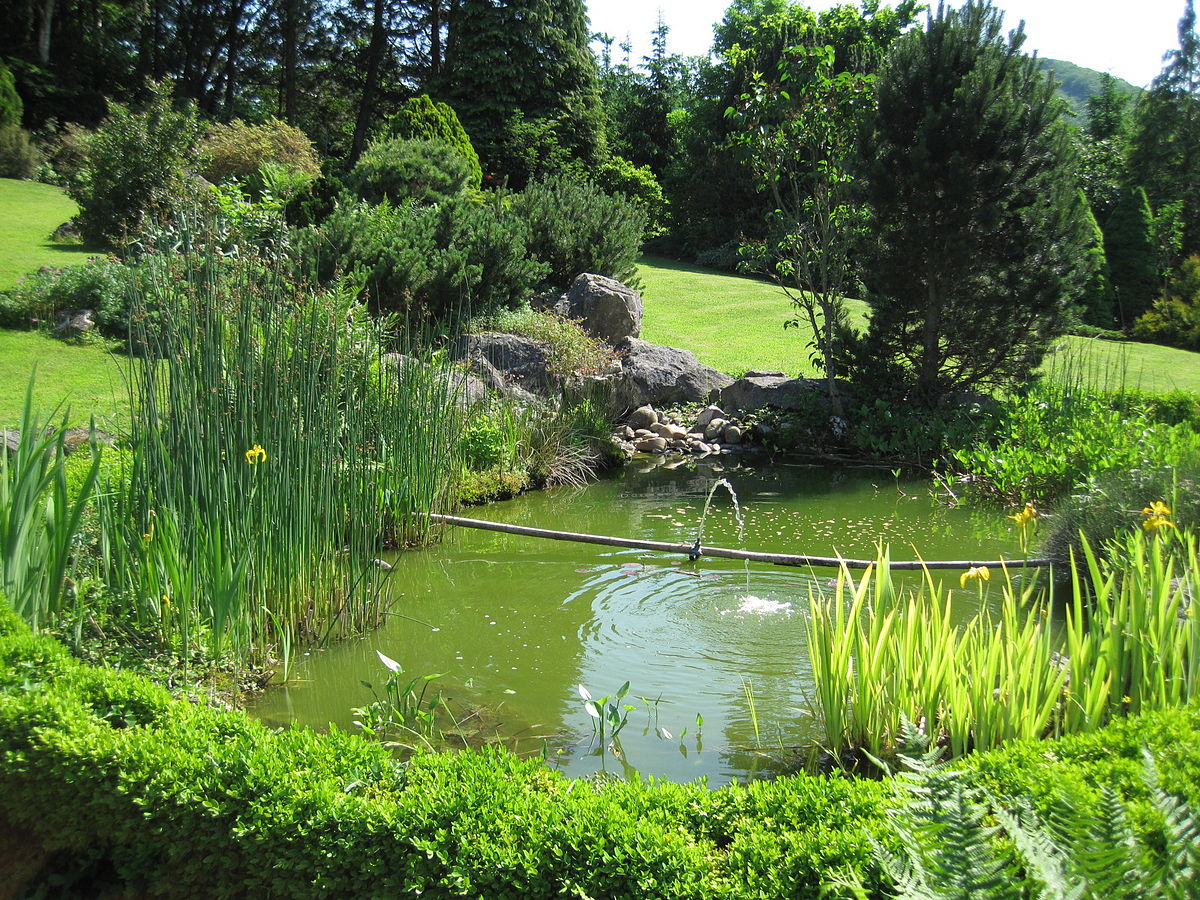 Bassin (Jardinage) — Wikipédia destiné Aménagement Bassin De Jardin