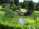 Bassin (Jardinage) — Wikipédia pour Bac Poisson Jardin