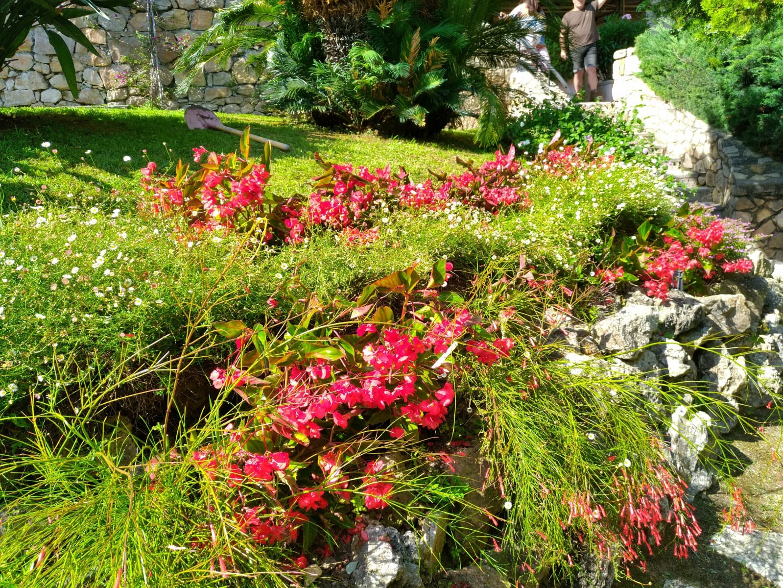 Bcd Jardin, Jardinier Paysagiste À Cannes - Bcd Jardin destiné Jardins Fleuris Paysagiste